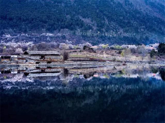 文章配图