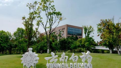 云南白药把牙膏、防脱洗发水卖成冠军，仍困于千亿市值？